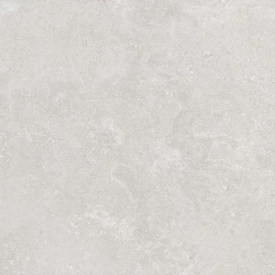 Ashcombe Greige Porcelain Wall & Floor Tile PTV36 600X600mm